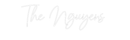 Custom Neon: The Nguyens - VINTAGE SIGN