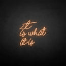 'It is what it is' neon sign - VINTAGE SIGN