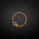 'Moon and star' neon sign - VINTAGE SIGN