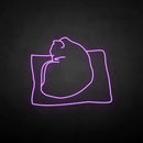 'The cat on the pillow' neon sign - VINTAGE SIGN