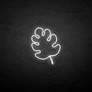 'Monstera' neon sign - VINTAGE SIGN