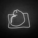 'The cat on the pillow' neon sign - VINTAGE SIGN