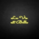'la vie est belle' neon sign - VINTAGE SIGN