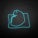 'The cat on the pillow' neon sign - VINTAGE SIGN