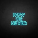 'Now or never' neon sign - VINTAGE SIGN
