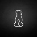 'The dog back' neon sign - VINTAGE SIGN