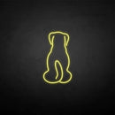 'The dog back' neon sign - VINTAGE SIGN