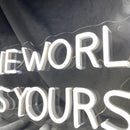 'THE WORLD IS YOURS' neon sign - VINTAGE SIGN