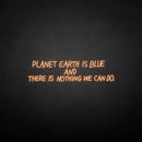 'PLANET EARTH IS BLUE BUT THERE NOTHING WE CAN DO ' neon sign - VINTAGE SIGN