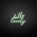 'hello lovely' neon sign - VINTAGE SIGN