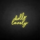 'hello lovely' neon sign - VINTAGE SIGN