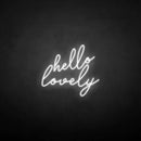 'hello lovely' neon sign - VINTAGE SIGN