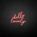 'hello lovely' neon sign - VINTAGE SIGN