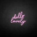 'hello lovely' neon sign - VINTAGE SIGN