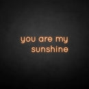 'you are my sunshine' neon sign - VINTAGE SIGN