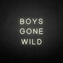 'BOYS GONE WILD' neon sign - VINTAGE SIGN