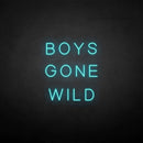 'BOYS GONE WILD' neon sign - VINTAGE SIGN