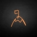 'Flag' neon sign - VINTAGE SIGN