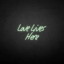 'Love lives here' neon sign - VINTAGE SIGN